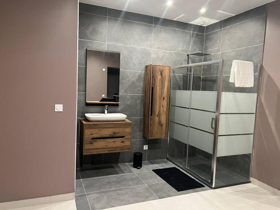 Apartment Belle Avec Parking Gratuit